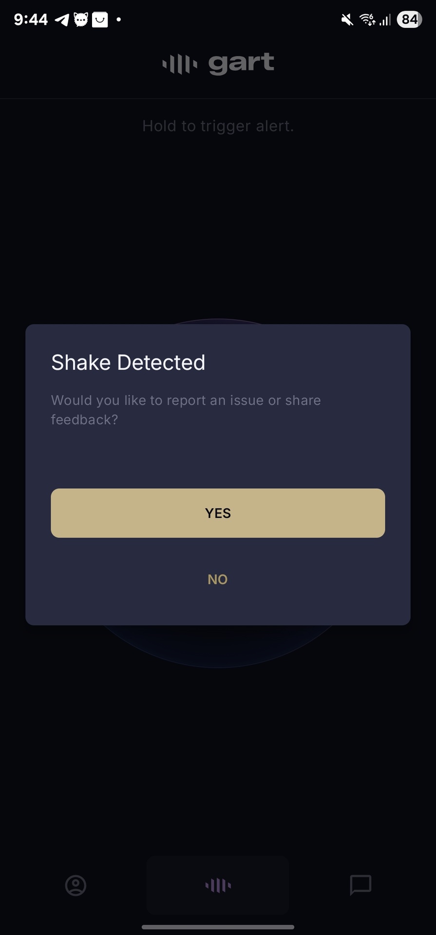Report issue screen